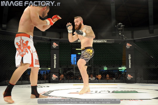 2015-06-13 Milano in the Cage 2015 - Mixed Martial Arts 0843 Stefano Canelli-Andrea Fusi - MMA